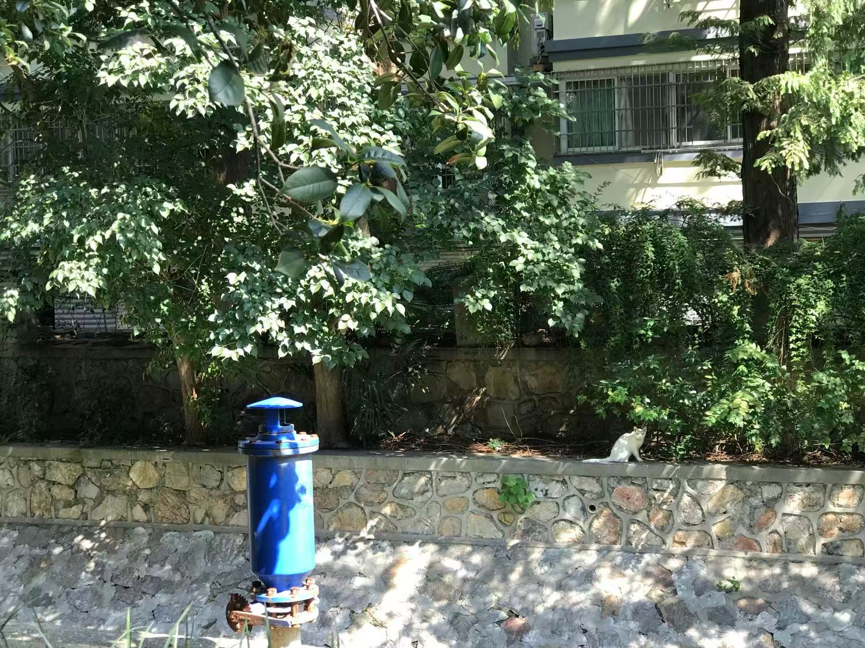 我的 2025 年度回顾