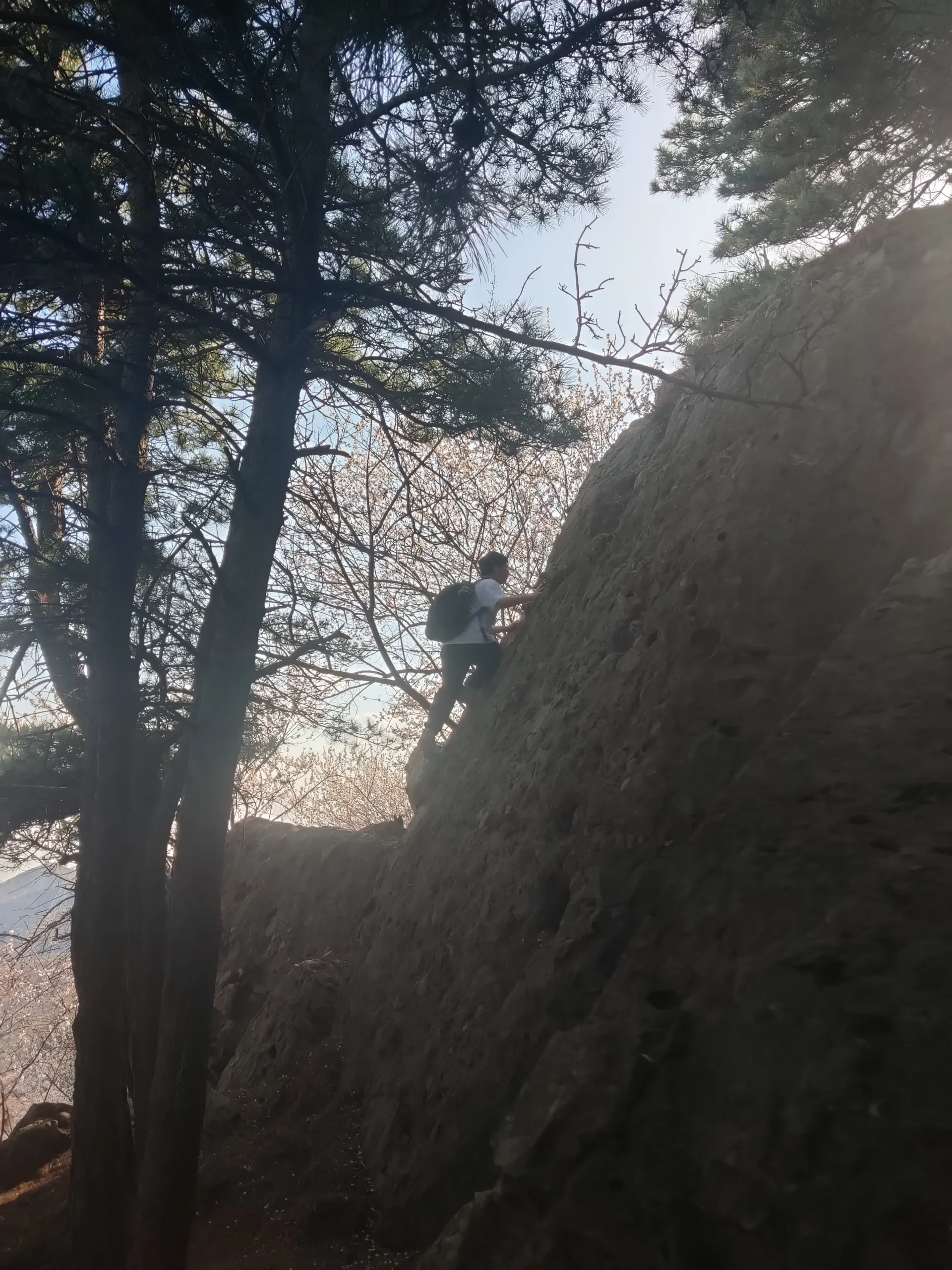 The Damned “Dream”